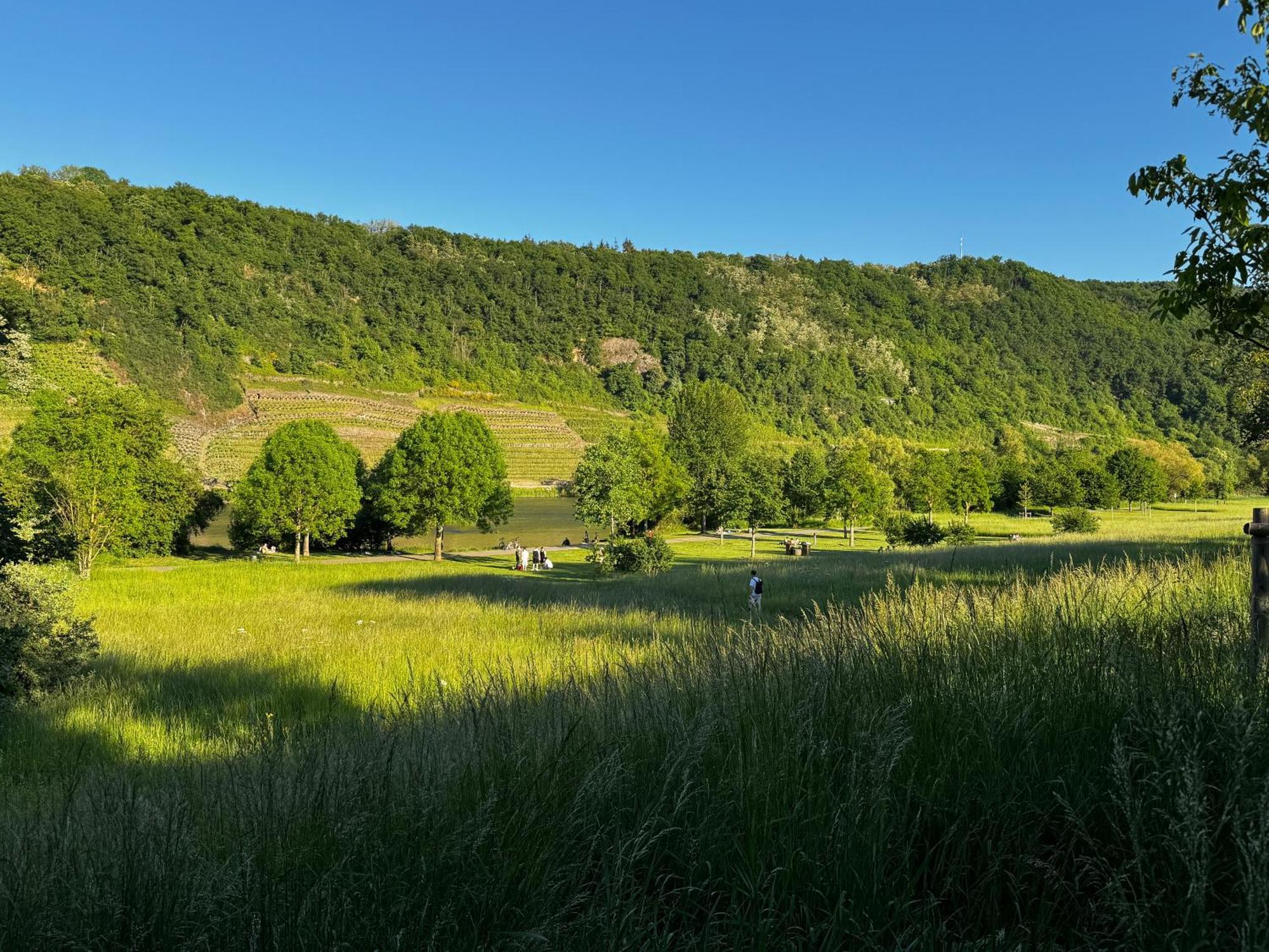 Ferienhaus Ufergeheimnis Am Guelser Moselbogen I 2 Sz I 5 Gaeste I Badebucht I Grill I Garten Koblenc Exteriér fotografie